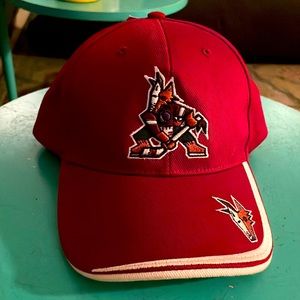 Vintage Arizona Coyotes baseball hat NHL brand new with tags Twin Enterprises